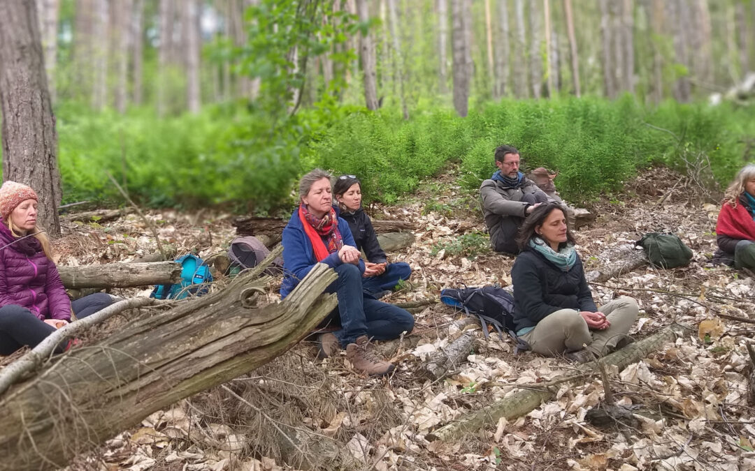 Pratiques de l&rsquo;observation